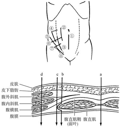 pagenumber_ebook=541,pagenumber_book=526