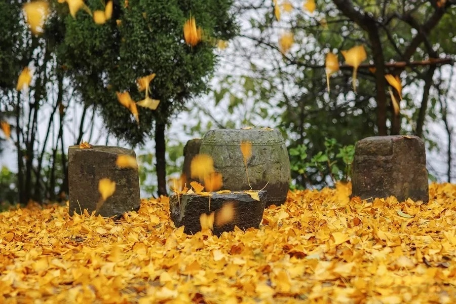 微信图片_20210315111406 微信图片_20210315111406.png