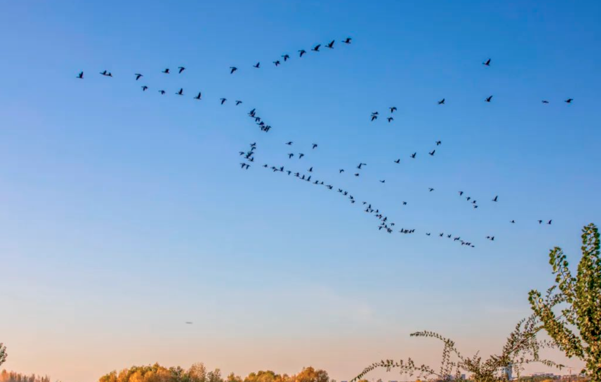 截屏2023-12-25 17.56.08