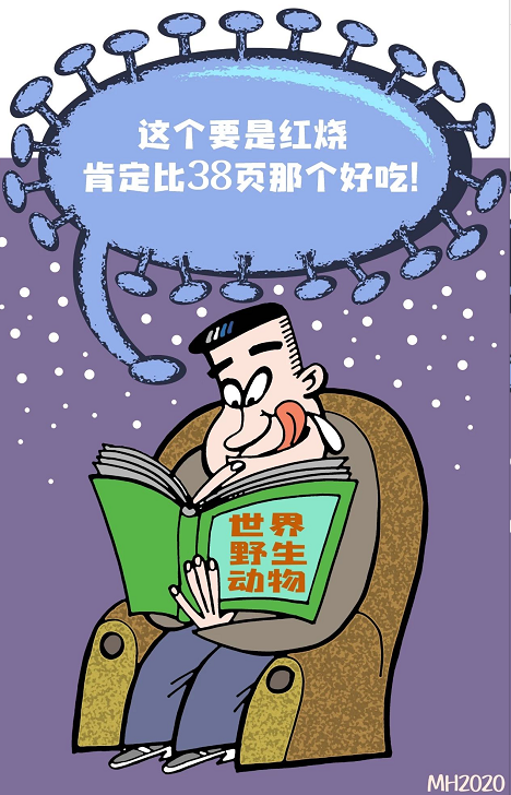image image.png?v=1784632500426