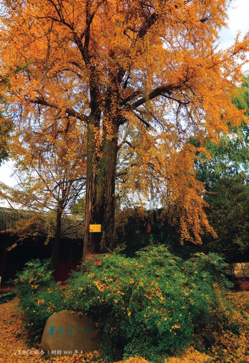 pagenumber_ebook=76,pagenumber_book=76