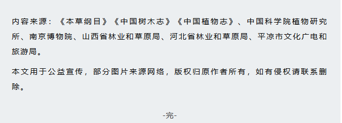 image.png?v=1766278387980