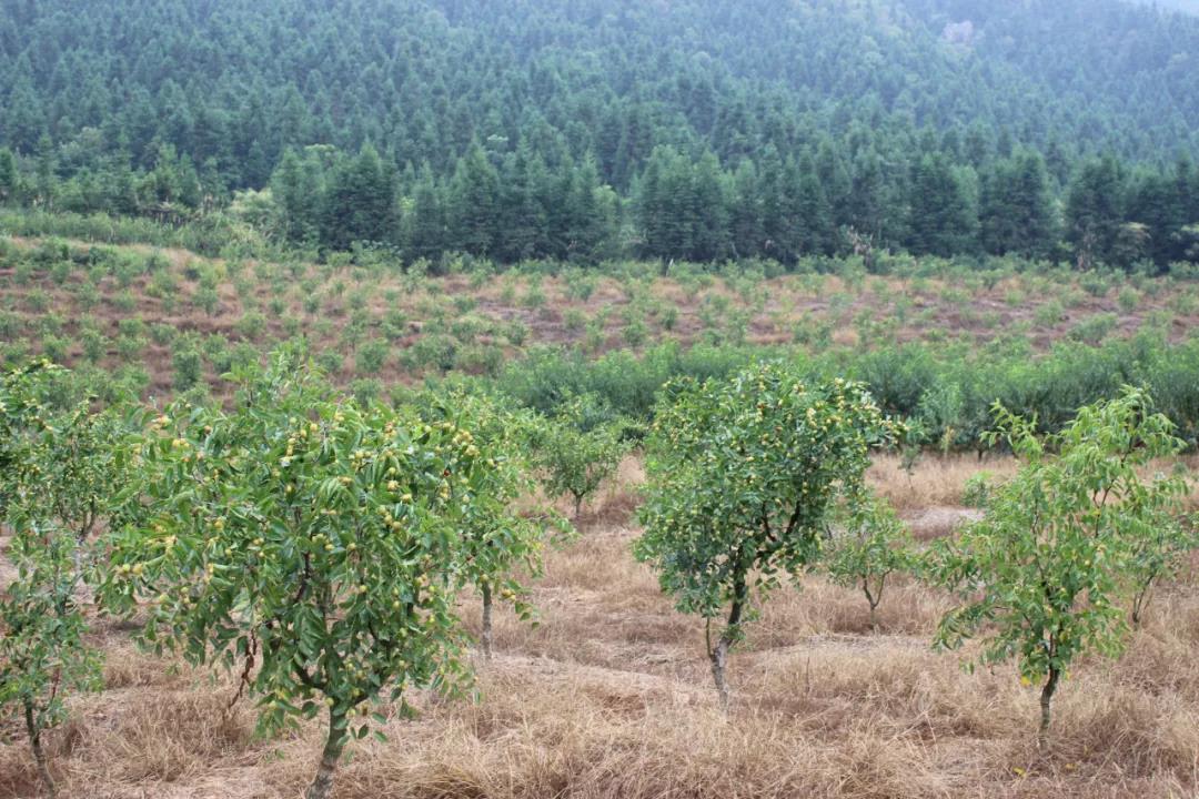 微信图片_20200917001351 微信图片_20200917001351.jpg