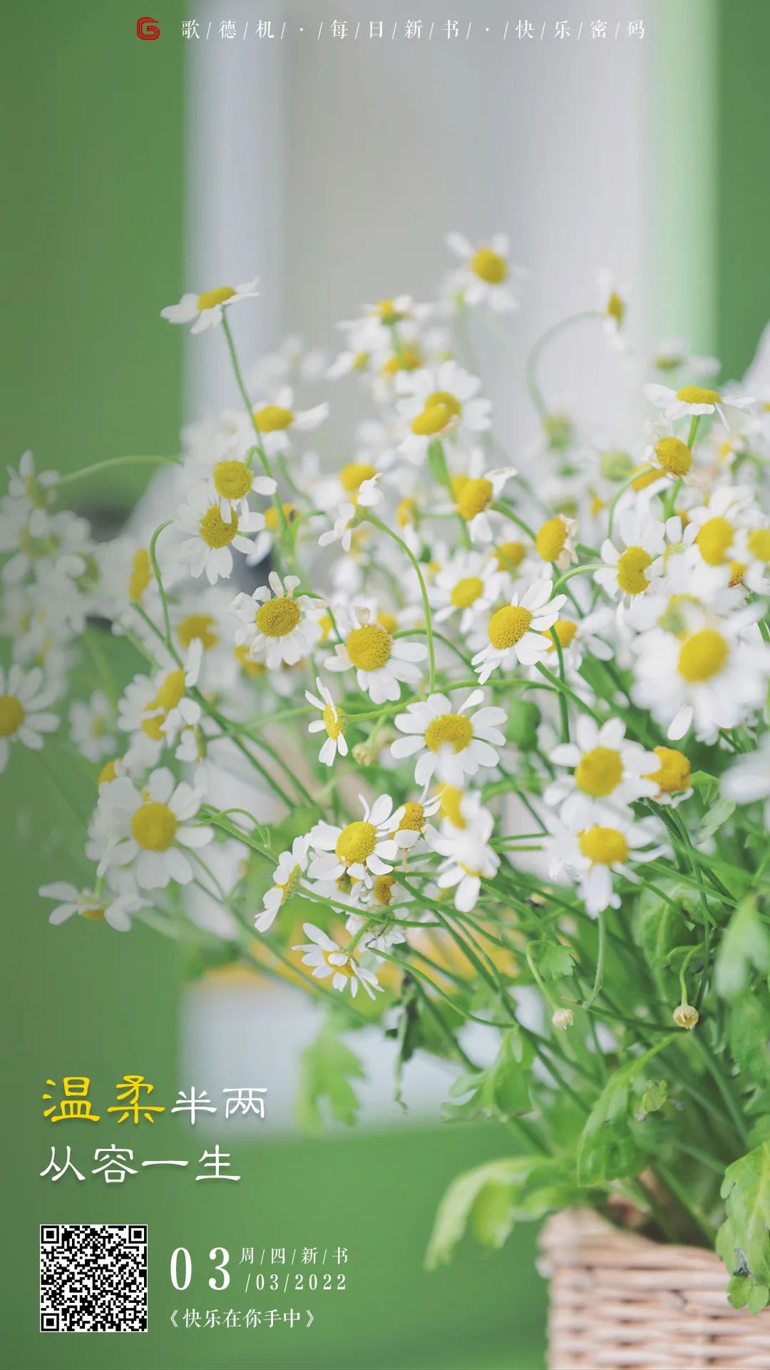 640 640.jpg?v=1765700115249