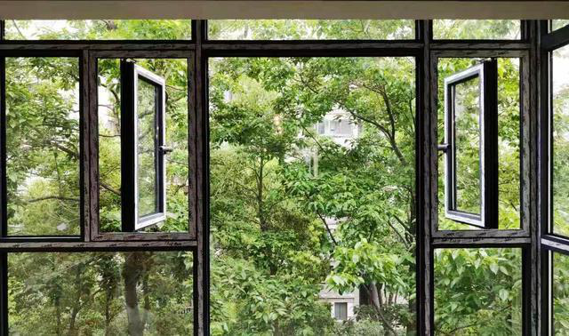 88 88.png?v=1765897960853