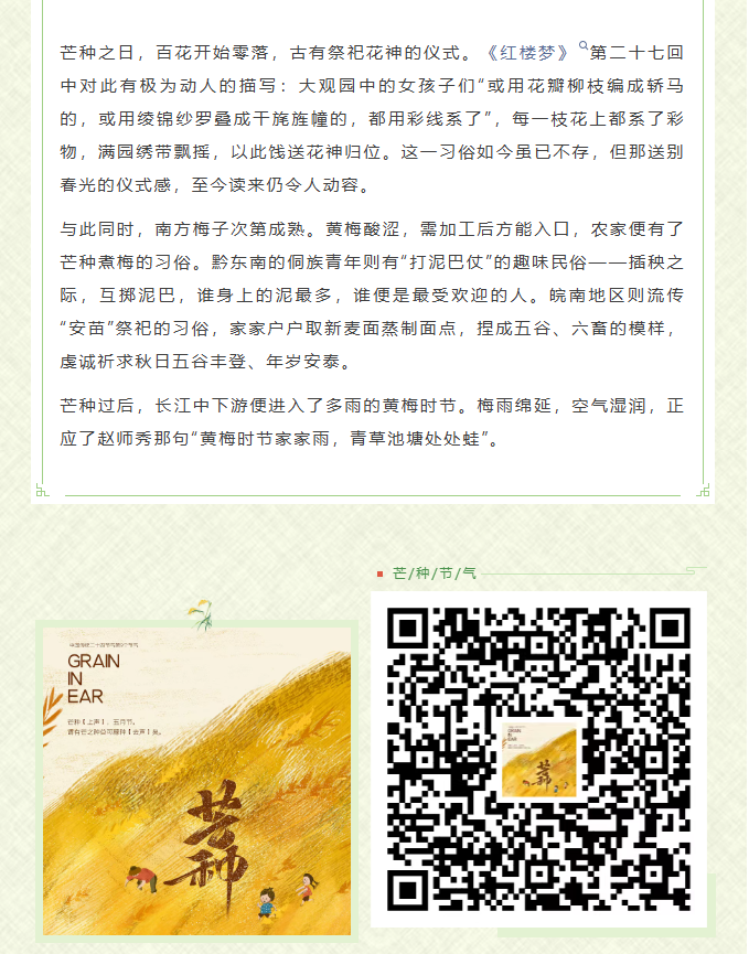 image.png?v=1782173729533