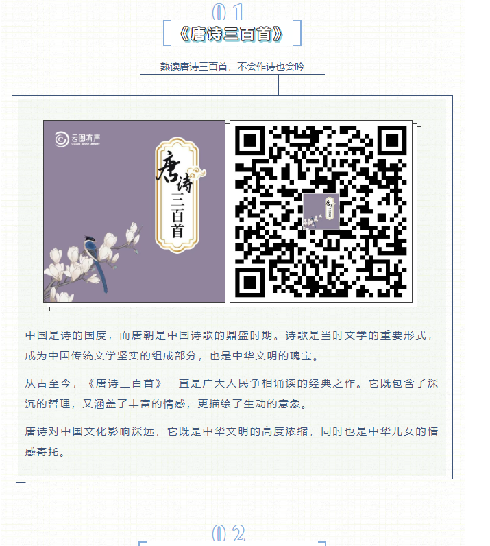 image.png?v=1751557489311