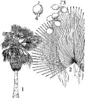 pagenumber_ebook=121,pagenumber_book=121