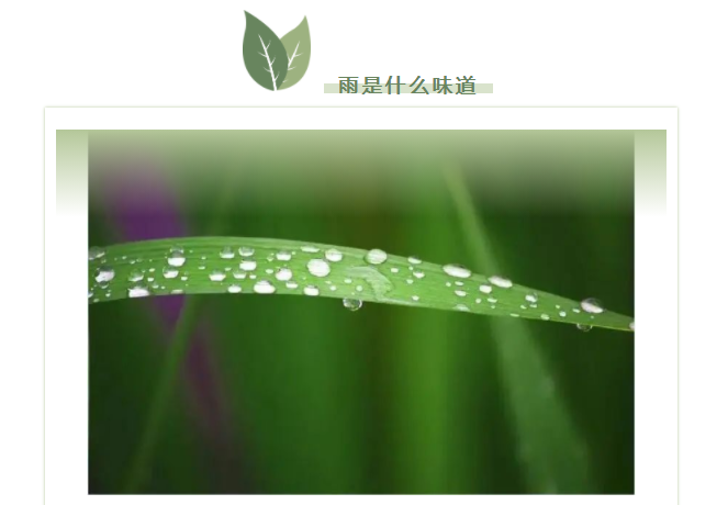 6 6.png?v=1763157472825