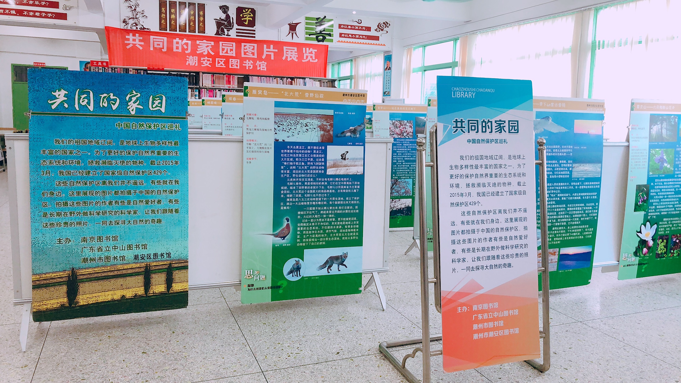 IMG_1140 IMG_1140.jpg?v=1762590389398