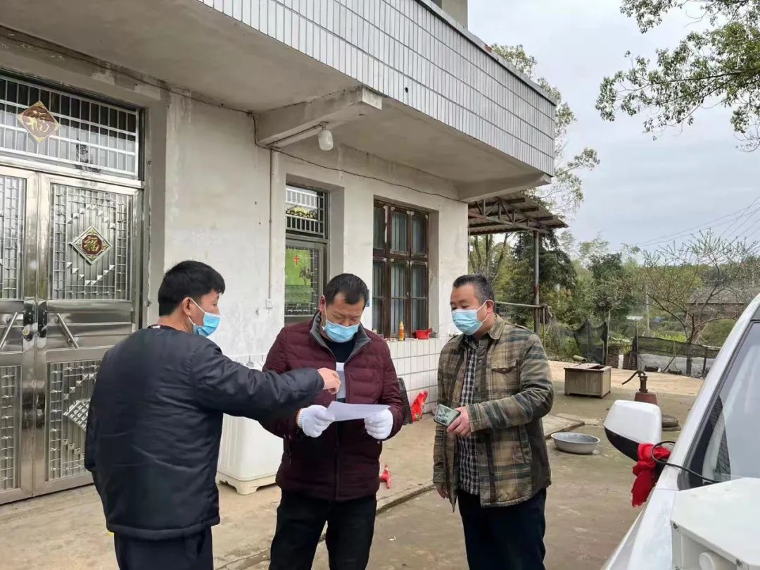 20 20.jpg?v=1765925544072