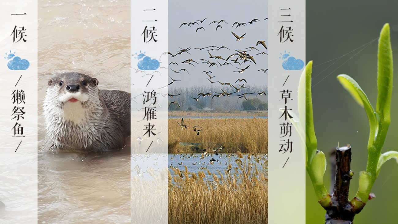 R-C R-C.jpg?v=1763042090095