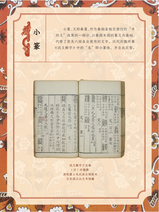 image image.png?v=1763879814567