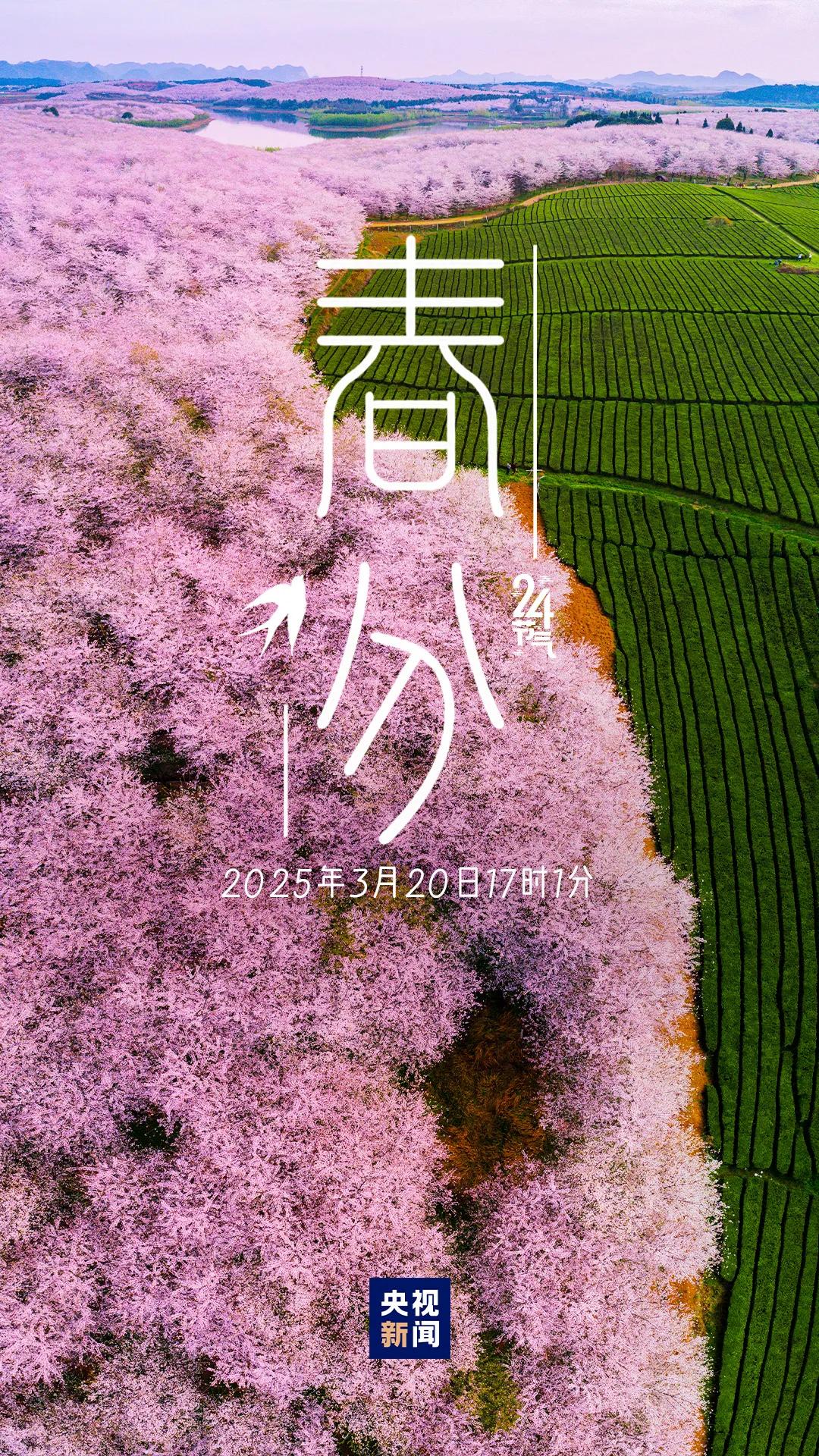 春分1.jpg?v=1751370914038