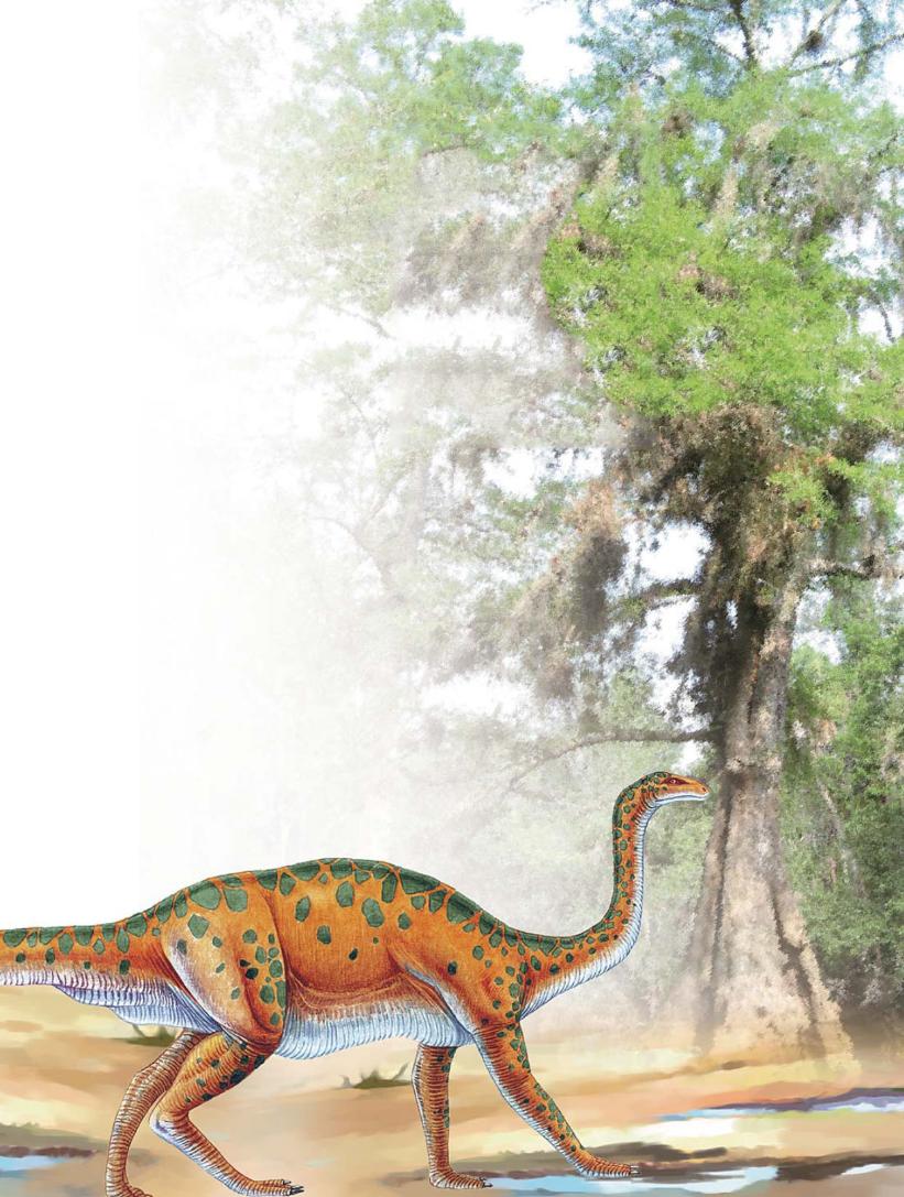 pagenumber_ebook=54,pagenumber_book=43