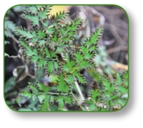 pagenumber_ebook=121,pagenumber_book=108