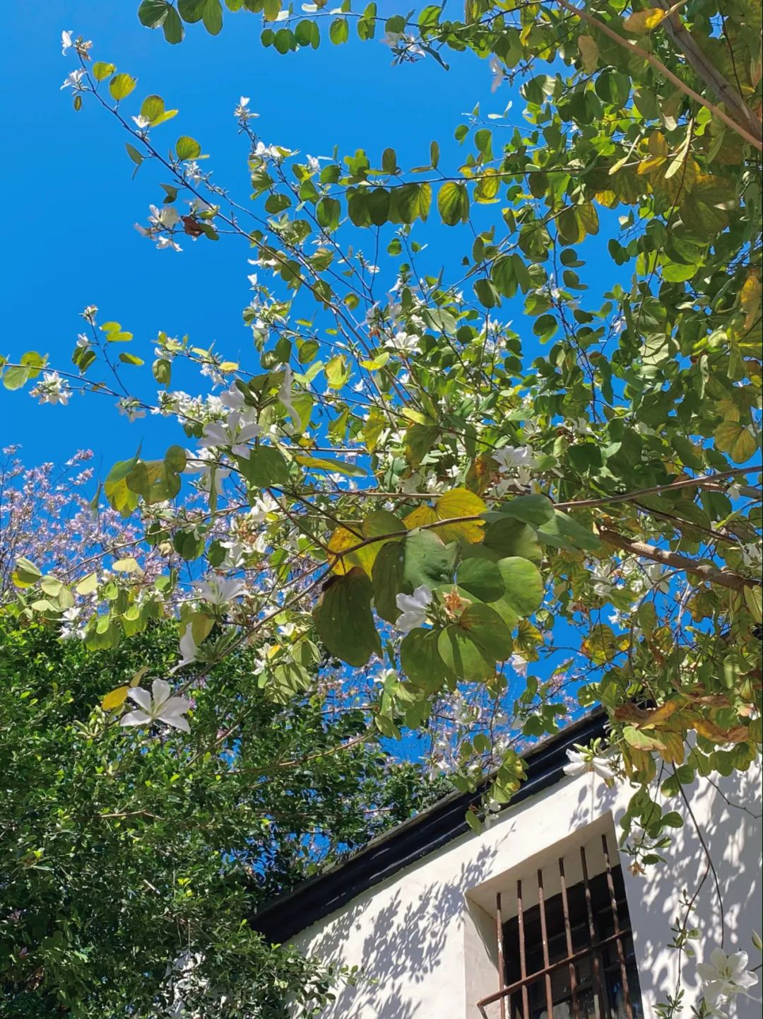 微信图片_20220413092740 微信图片_20220413092740.jpg