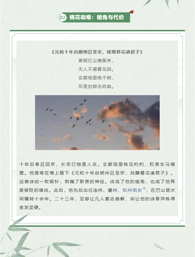 image.png?v=1770178028045