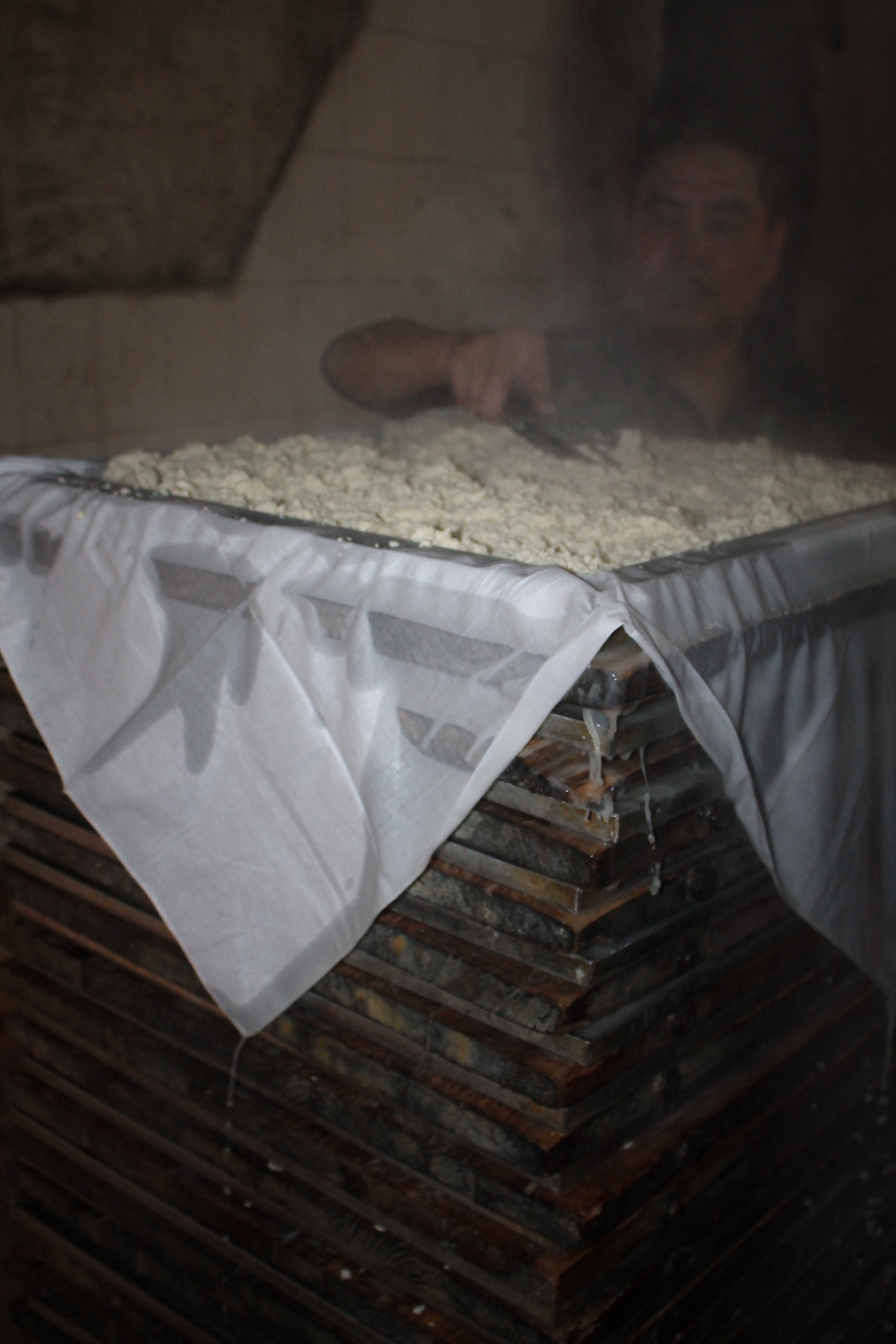 33333333 33333333.jpg