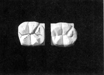 pagenumber_ebook=235,pagenumber_book=226