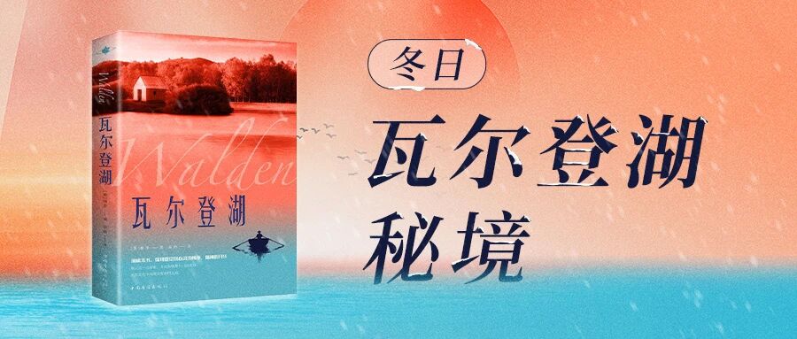 1 1.jpg?v=1765789516285