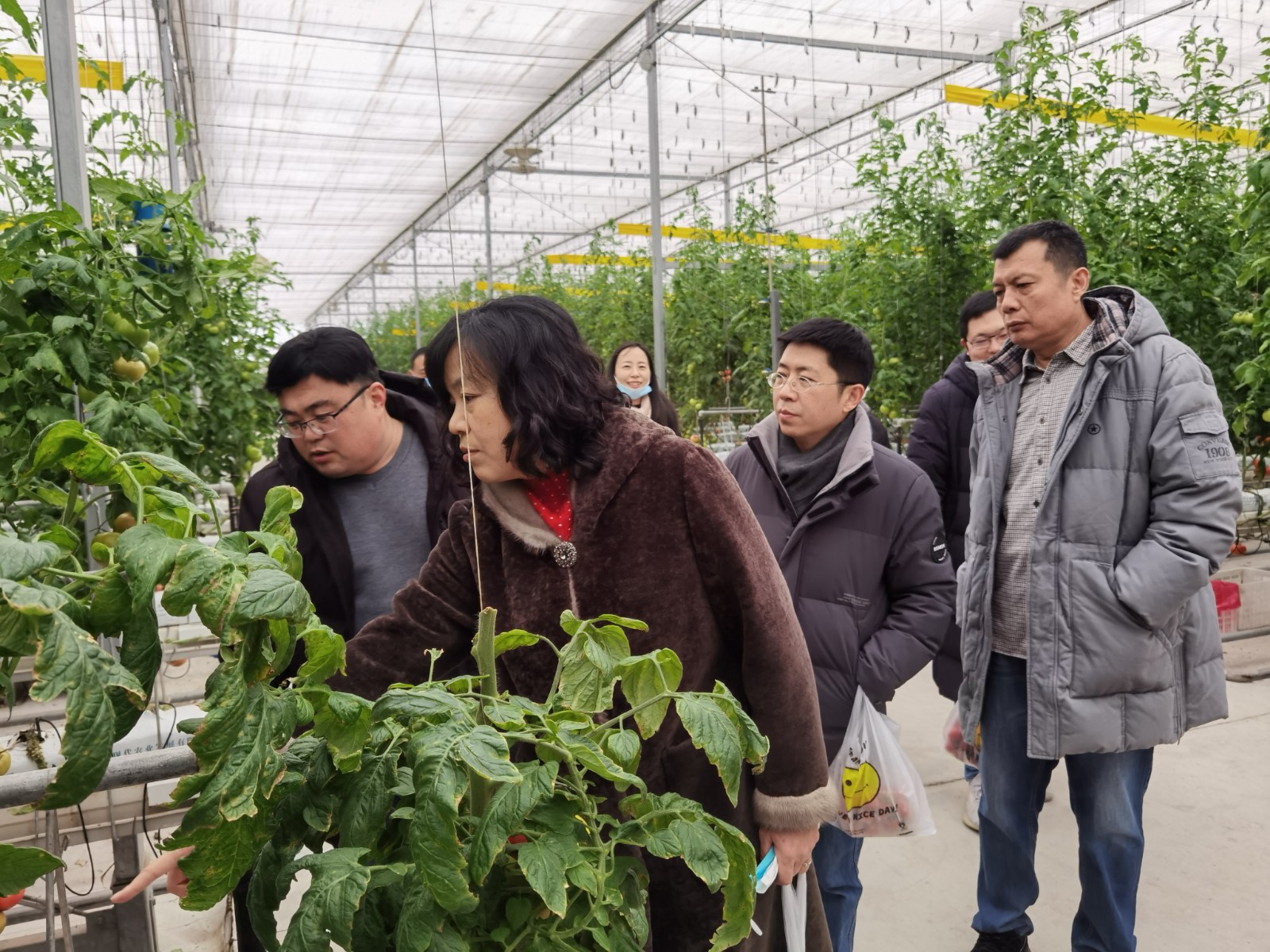 2512634bd78b3537936d360ed521a22