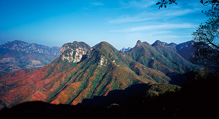 20170831100508894 20170831100508894.jpg