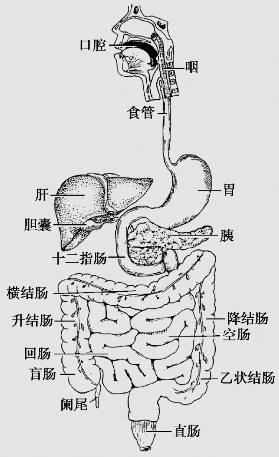 pagenumber_ebook=35,pagenumber_book=22