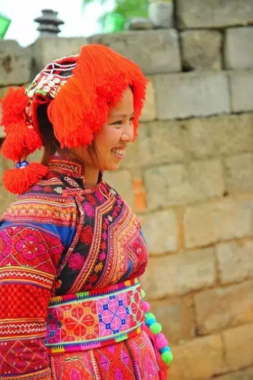 平头大白彝 平头大白彝.jpeg