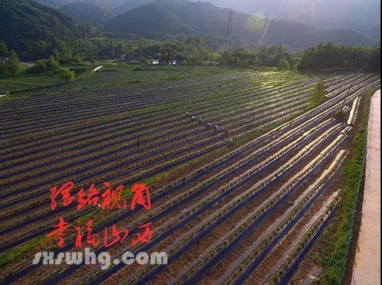 9《绿野蓝莓》靳梦瑶