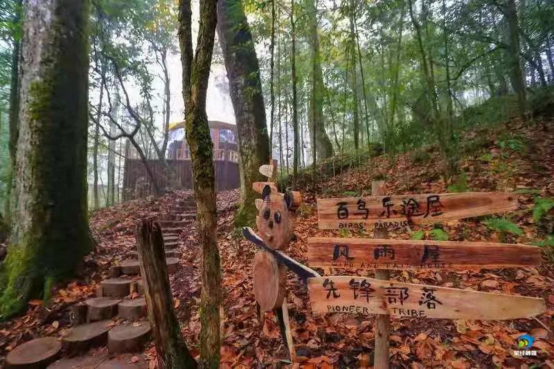 微信图片_20201204144533 微信图片_20201204144533.jpg