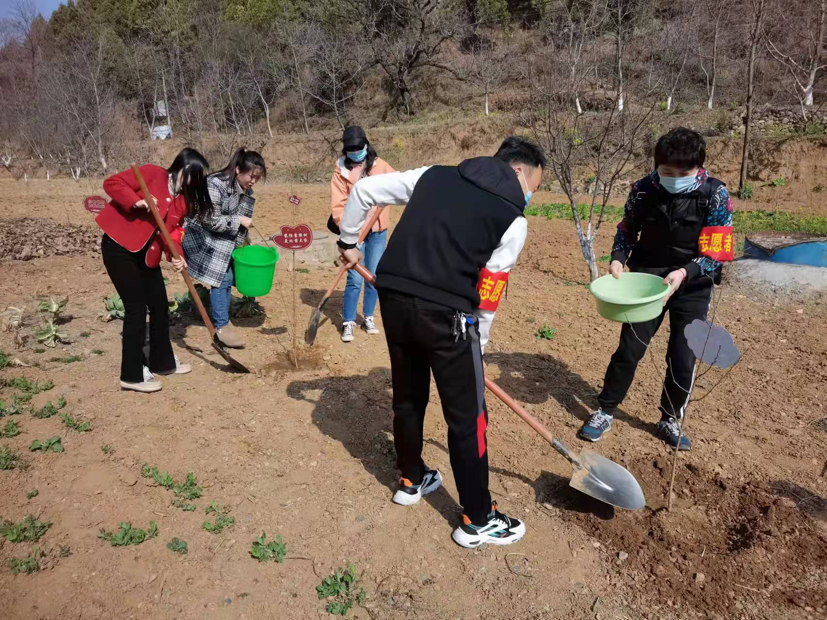 6 6.jpg?v=1763162684113