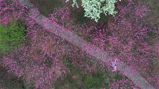 微信图片_20220320180446 微信图片_20220320180446.jpg