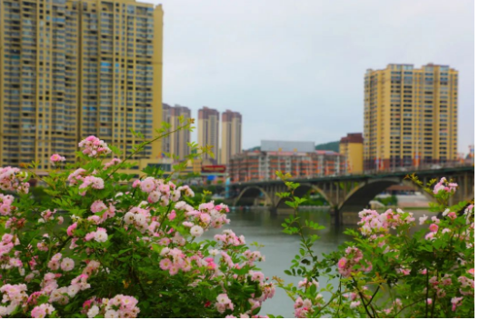 微信图片_20230510211627 微信图片_20230510211627.png