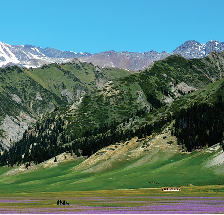 pagenumber_ebook=30,pagenumber_book=19