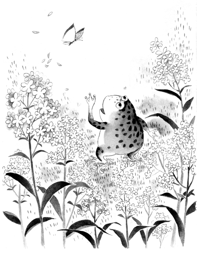 pagenumber_ebook=190,pagenumber_book=185