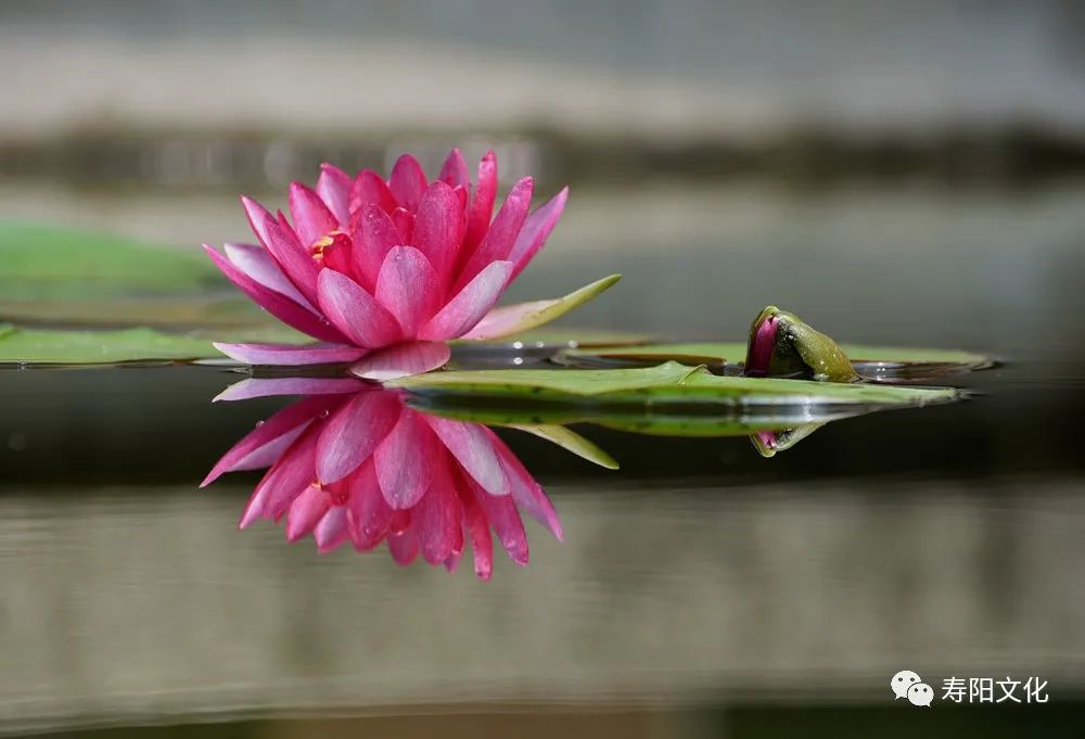 微信图片_20221009095404