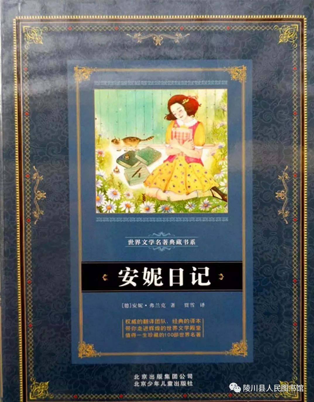 图片5 图片5.png?v=1762227268018