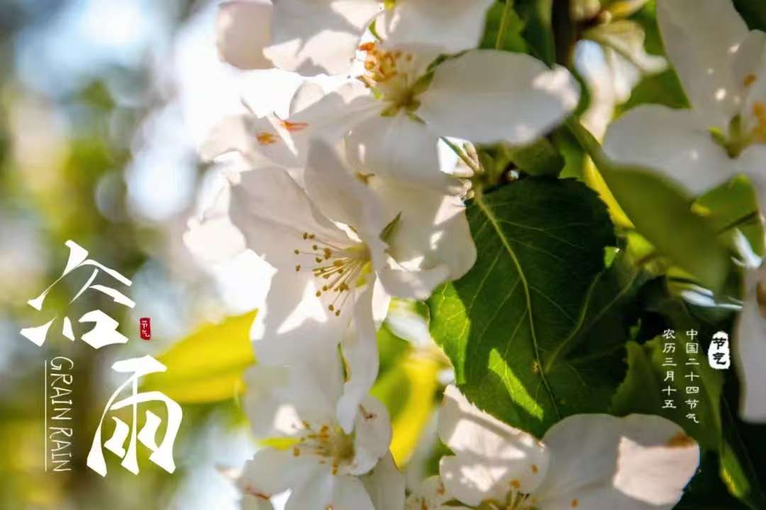 微信图片_20250421085948 微信图片_20250421085948.jpg