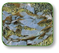 pagenumber_ebook=214,pagenumber_book=201