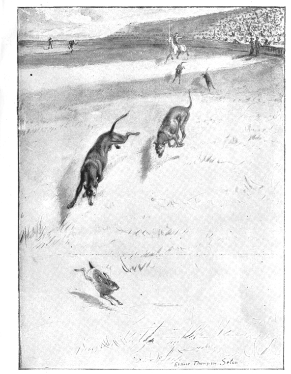 pagenumber_ebook=232,pagenumber_book=224