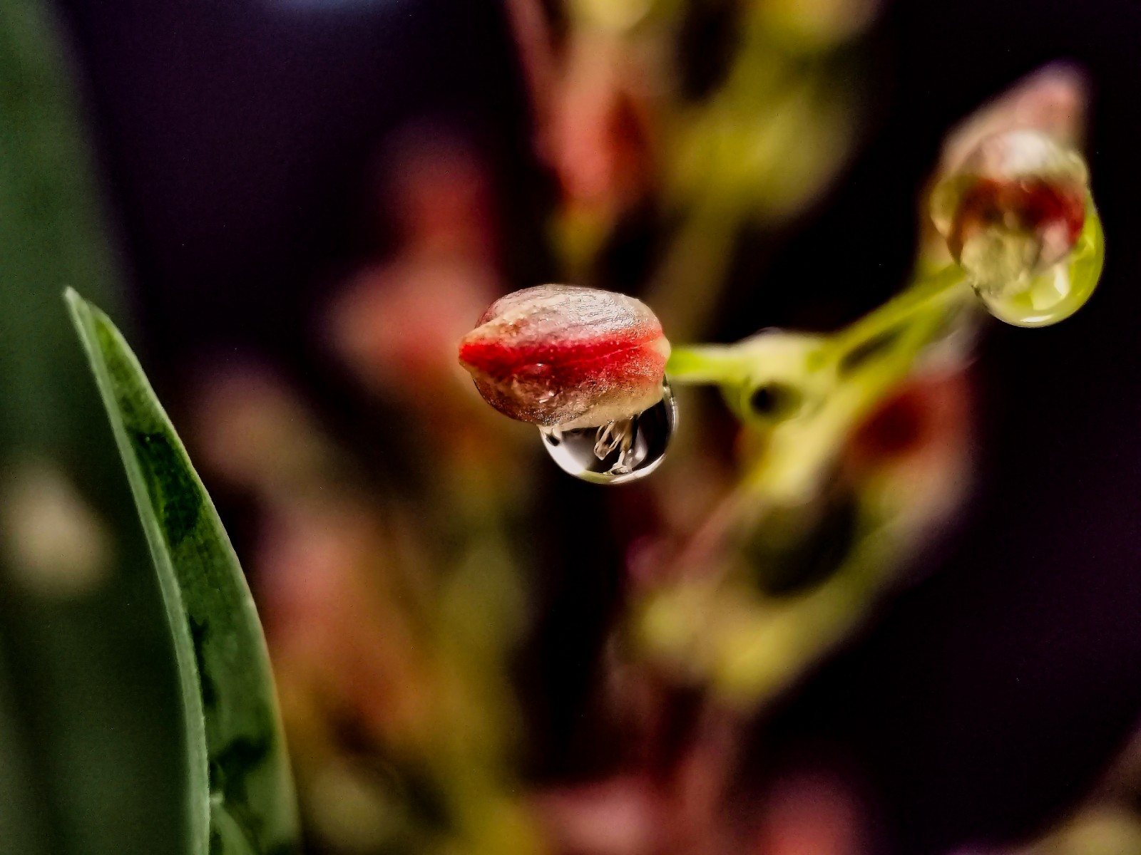 细微之处见精神 赵腾飞