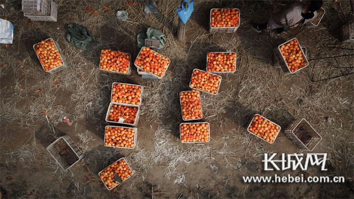 微信图片_20201213105117 微信图片_20201213105117.jpg