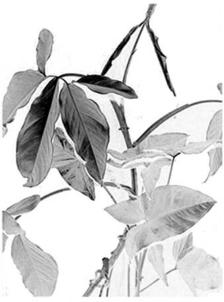 pagenumber_ebook=258,pagenumber_book=258