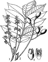 pagenumber_ebook=83,pagenumber_book=83