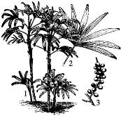 pagenumber_ebook=119,pagenumber_book=119