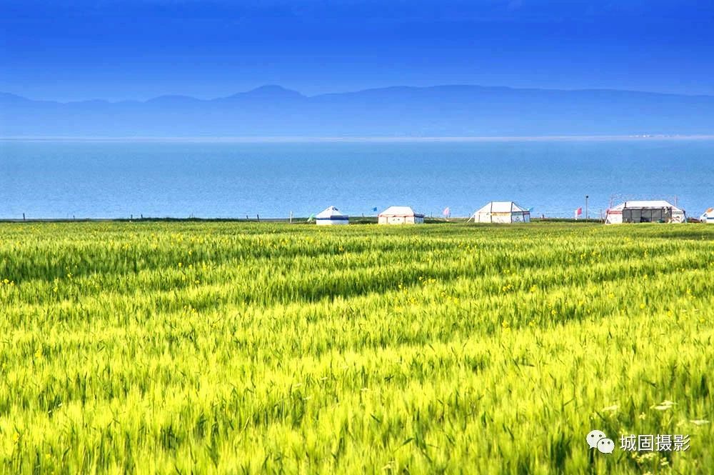 7 7.jpg?v=1765879737713