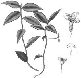 pagenumber_ebook=259,pagenumber_book=259