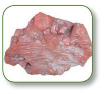 pagenumber_ebook=236,pagenumber_book=223