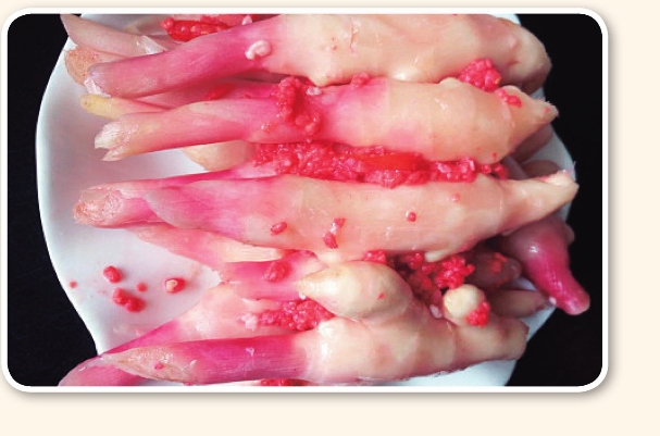 pagenumber_ebook=148,pagenumber_book=138